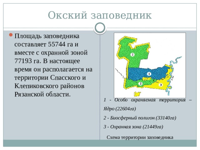 Окский заповедник Площадь заповедника составляет 55744 га и вместе с охранной зоной 77193 га. В настоящее время он располагается на территории Спасского и Клепиковского районов Рязанской области. 1 - Особо охраняемая территория – Ядро (22604га) 2 - Биосферный полигон (33140га) 3 - Охранная зона (21449га) Схема территории заповедника 