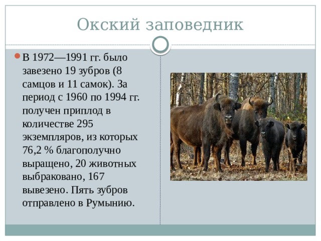 Окский заповедник В 1972—1991 гг. было завезено 19 зубров (8 самцов и 11 самок). За период с 1960 по 1994 гг. получен приплод в количестве 295 экземпляров, из которых 76,2 % благополучно выращено, 20 животных выбраковано, 167 вывезено. Пять зубров отправлено в Румынию. 