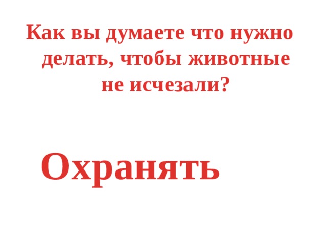 Как вы думаете что нужно делать, чтобы животные не исчезали? Охранять 