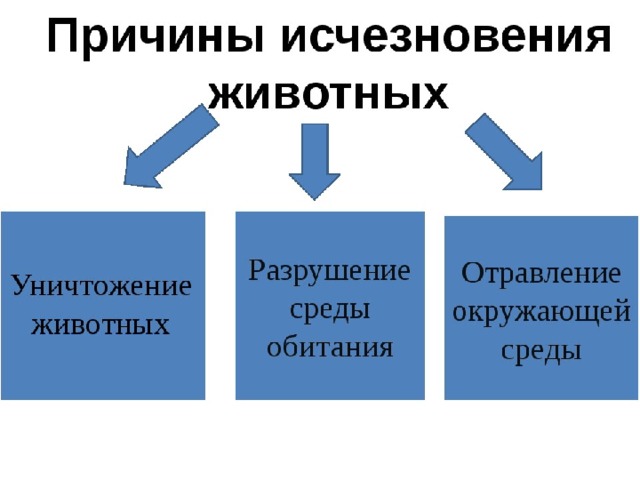 Исчезновение цели. Причины исчезновения животных. Причины вымирания животных. Основные причины вымирания животных. Причины вымирания животных и растений.