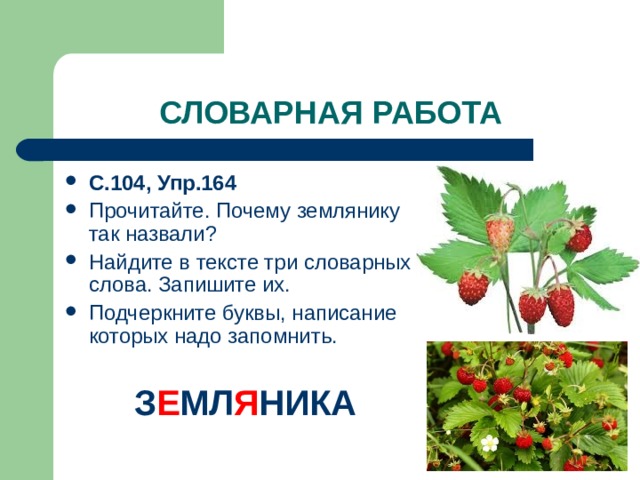 Почему слово почему назвали почему. Почему земляника так называется. Почему землянику так назвали. Почему землянка так называется. Почему клубнику так назвали.