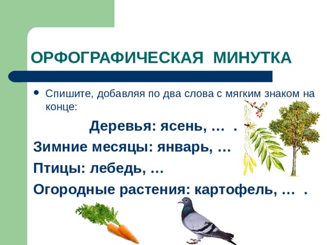 Деревья окончание. Огородные растения с мягким знаком на конце. Деревья с мягким знаком на конце. Растения с мягким знаком на конце слова. Птицы с мягким знаком.