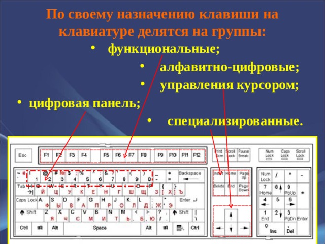 По своему назначению клавиши на клавиатуре делятся на группы:   функциональные; алфавитно-цифровые; управления курсором; цифровая панель; специализированные. 