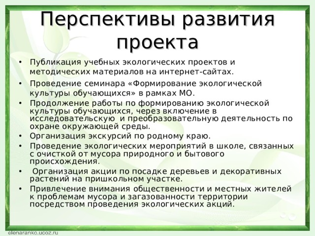 Перспективы дальнейшей работы над проектом пример