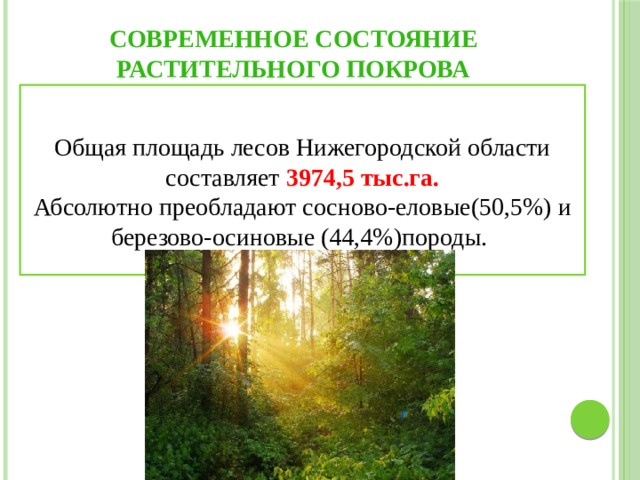 Животный мир нижегородской области презентация