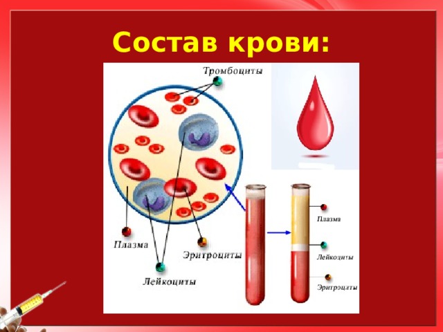 Кровь биология 11 класс. Состав крови схема анатомия. Строение крови человека схема. Состав крови рис 51. Состав крови человека анатомия.