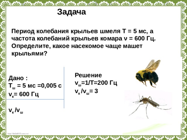 Задача Период колебания крыльев шмеля T = 5 мс, а частота колебаний крыльев комара ν = 600 Гц. Определите, какое насекомое чаще машет крыльями? Решение v ш =1/Т=200 Гц v к / v ш = 3   Дано : T ш  = 5 мс =0,005 c v к = 600 Гц  v к / v ш 