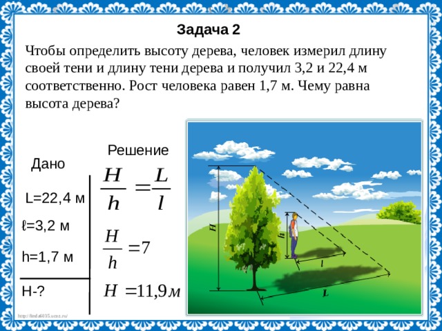 Задача 2 Чтобы определить высоту дерева, человек измерил длину своей тени и длину тени дерева и получил 3,2 и 22,4 м соответственно. Рост человека равен 1,7 м. Чему равна высота дерева? Решение Дано L=22,4 м ℓ = 3,2  м h=1,7 м H-? 