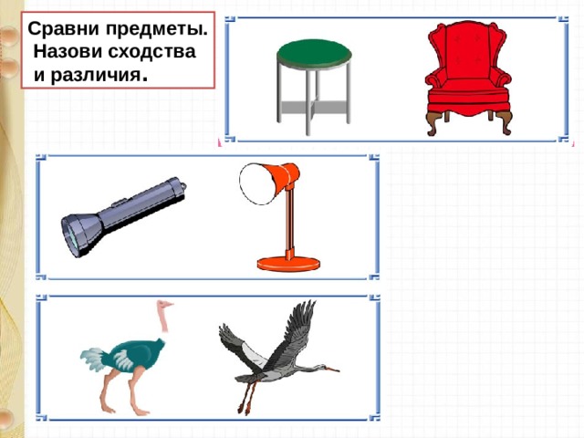 Сравни предметы.  Назови сходства  и различия .  