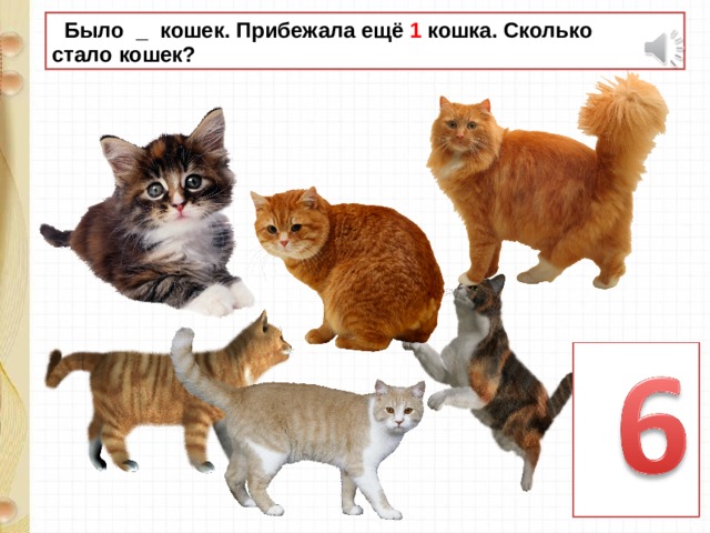 Сколько кошек 2. Сколько кошек. Сколько было кошек было. 1 Кошка и 5 котят. 5 Котят стихотворение картинки.