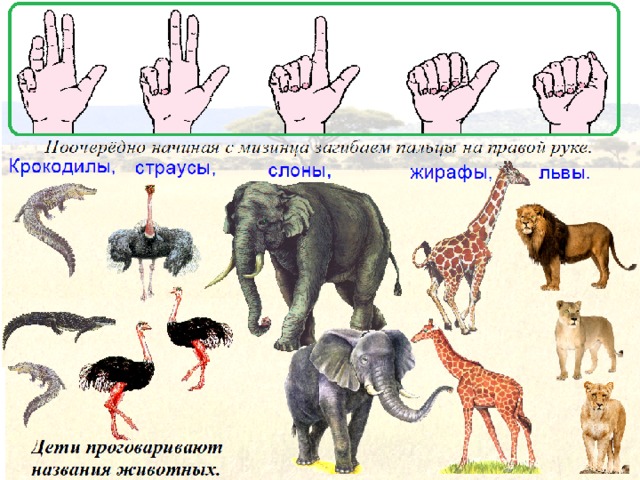 План в подготовительной группе на тему животные жарких стран