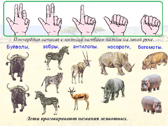 Животные жарких стран презентация в подготовительной группе