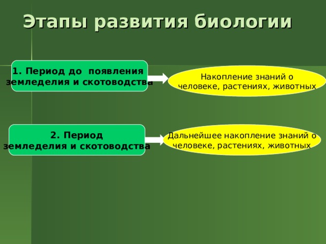 Презентация история развития биологии