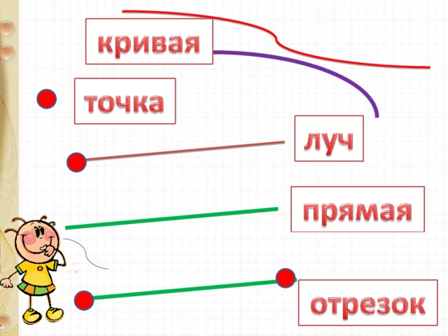 Точка конспект. Прямая кривая отрезок Луч 1 класс. Точка кривая линия прямая линия отрезок Луч. Точка кривая линия отрезок Луч. Точка кривая отрезок Луч 1 класс.