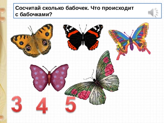Сколько звуков в слове мотыльки