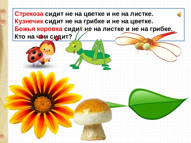 Стрекоза сидит не на цветке и не на листке.  Кузнечик сидит не на грибке и не на цветке.  Божья коровка сидит не на листке и не на грибке. Кто на чем сидит? 
