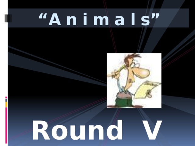 “ A n i m a l s” Round V 