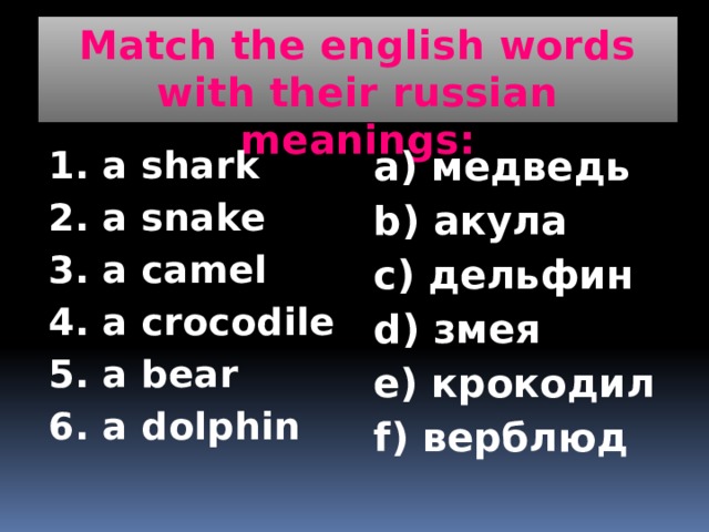 Match the english words with their russian meanings: 1. a shark a) медведь 2. a snake b) акула 3. a camel c) дельфин 4. a crocodile d) змея 5. a bear e) крокодил 6. a dolphin f) верблюд 