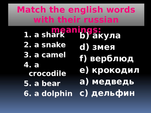 Match the english words with their russian meanings: 1. a shark b) акула 2. a snake d) змея 3. a camel f) верблюд 4. a crocodile e) крокодил 5. a bear a) медведь 6. a dolphin c) дельфин 