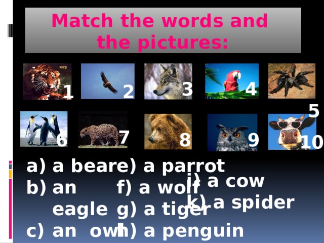 Match the words and  the pictures: 3 4  5  1 2 7 9 8 6 10 a bear an eagle an owl a leopard e) a parrot  f) a wolf g) a tiger h) a penguin i) a cow k) a spider 