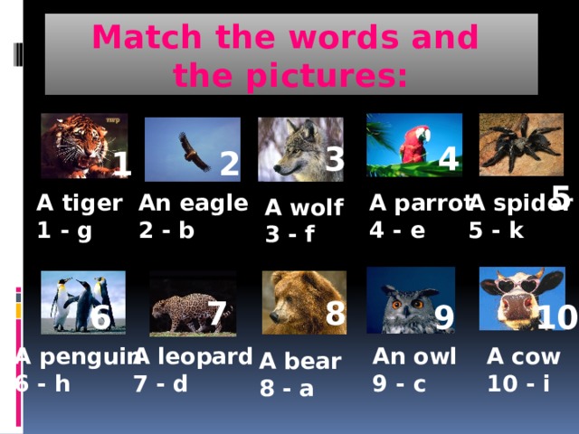 Match the words and  the pictures: 4  5 3  1 2 An eagle A tiger A parrot A spider 5 - k 4 - e 2 - b 1 - g A wolf 3 - f   8 7 10 9 6 A penguin A leopard An owl A cow 6 - h 7 - d 9 - c 10 - i A bear 8 - a 