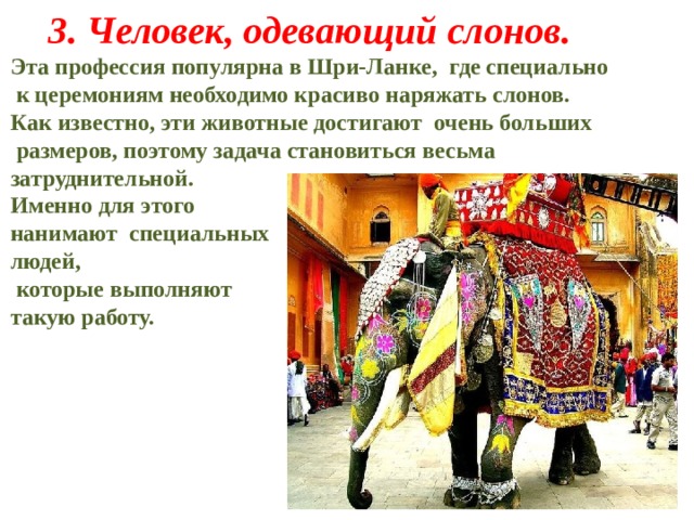 3.   Человек, одевающий слонов. Эта профессия популярна в Шри-Ланке, где специально  к церемониям необходимо красиво наряжать слонов. Как известно, эти животные достигают очень больших  размеров, поэтому задача становиться весьма затруднительной. Именно для этого нанимают специальных людей,  которые выполняют такую работу. 