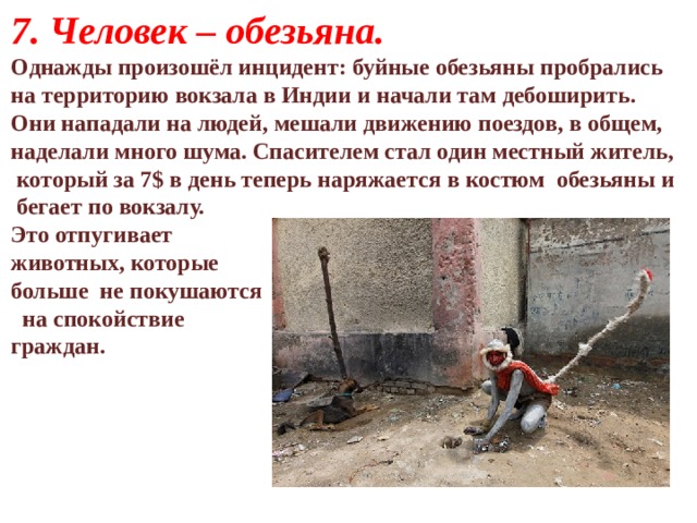 7.   Человек – обезьяна. Однажды произошёл инцидент: буйные обезьяны пробрались на территорию вокзала в Индии и начали там дебоширить. Они нападали на людей, мешали движению поездов, в общем, наделали много шума. Спасителем стал один местный житель,  который за 7$ в день теперь наряжается в костюм обезьяны и  бегает по вокзалу. Это отпугивает животных, которые больше не покушаются  на спокойствие граждан. 