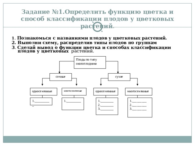 Задание №1.Определить функцию цветка и способ классификации плодов у цветковых растений . 1 . Познакомься с названиями плодов у цветковых растений. 2. Выполни схему, распределив типы плодов по группам  3 . Сделай вывод о функции цветка и способах классификации плодов у цветковых растений. Плоды по типу околоплодника сухие сочные односемянные многосемянные односемянные многосемянные 1.__________ 1._________ 1.________ 2.________ 3.________ 1._________ 2._________ 3._________ 
