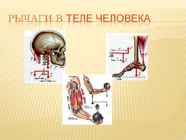 Рычаг простые механизмы физика 7 класс презентация