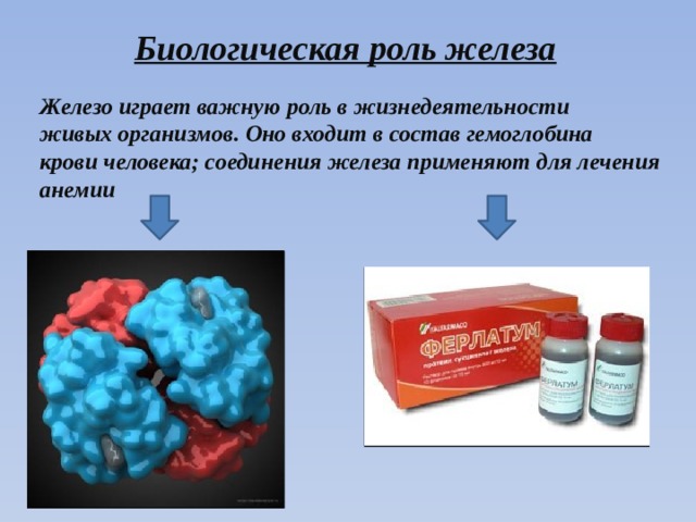 Химическая роль железа. Роль железа в живых организмах. Железо и его свойства. Соединения железа в живом организме. Роль железа в жизнедеятельности организмов.