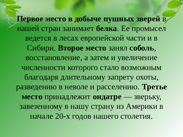 Первое место в добыче пушных зверей в нашей стран занимает белка . Ее промысел ведется в лесах европейской части и в Сибири. Второе место занял соболь , восстановление, а затем и увеличение численности которого стало возможным благодаря длительному запрету охоты, разведению в неволе и расселению. Третье место принадлежит ондатре — зверьку, завезенному в нашу страну из Америки в начале 20-х годов нашего столетия.   