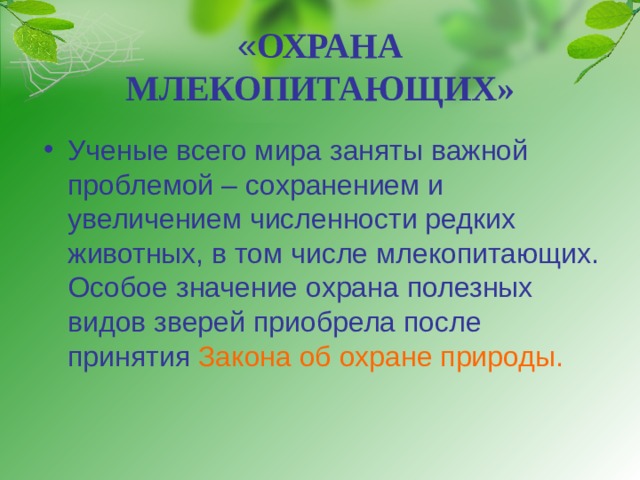 « ОХРАНА МЛЕКОПИТАЮЩИХ» Ученые всего мира заняты важной проблемой – сохранением и увеличением численности редких животных, в том числе млекопитающих. Особое значение охрана полезных видов зверей приобрела после принятия Закона об охране природы. 