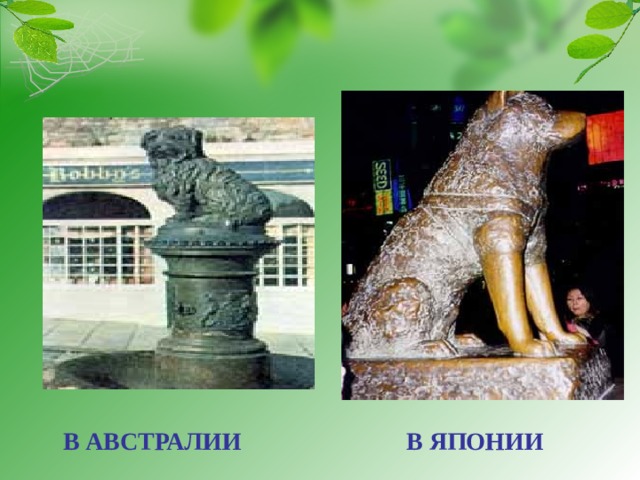 В ЯПОНИИ  В АВСТРАЛИИ 