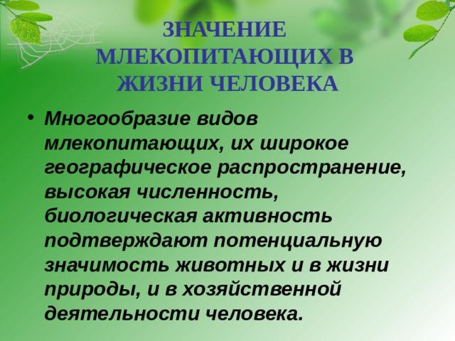 ЗНАЧЕНИЕ  МЛЕКОПИТАЮЩИХ В  ЖИЗНИ ЧЕЛОВЕКА Многообразие видов млекопитающих, их широкое географическое распространение, высокая численность, биологическая активность подтверждают потенциальную значимость животных и в жизни природы, и в хозяйственной деятельности человека. 