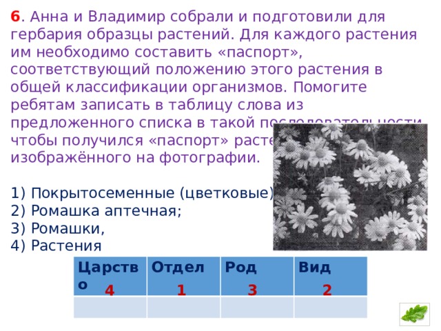 Лидия и степан собрали и подготовили для гербария образцы растений для каждого растения ответ