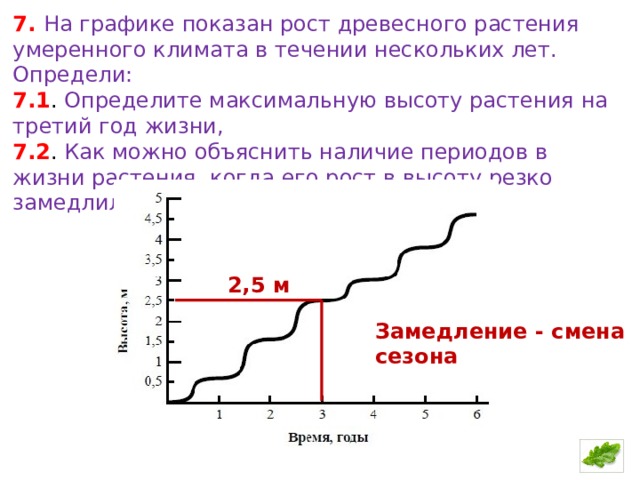 Протяжении нескольких. На графике показан рост древесного растения. Максимальная высота растения на 3 год жизни. На графике показан рост древесного растения умеренного климата. Определи максимальную высоту растения на 3 год жизни.