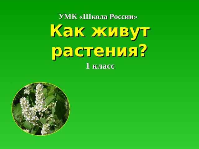 Как живут растения 1 класс школа