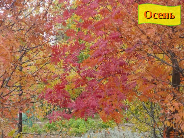 Осень 