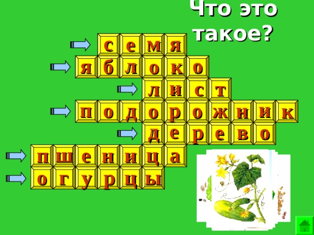 Что это такое? я с м е о л я к о б и т с л и п р ж д о о н о к е д р в о е а ц ш н п е и о у р ц г ы 
