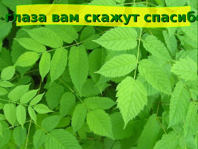 И глаза вам скажут спасибо! 