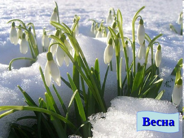 Весна 