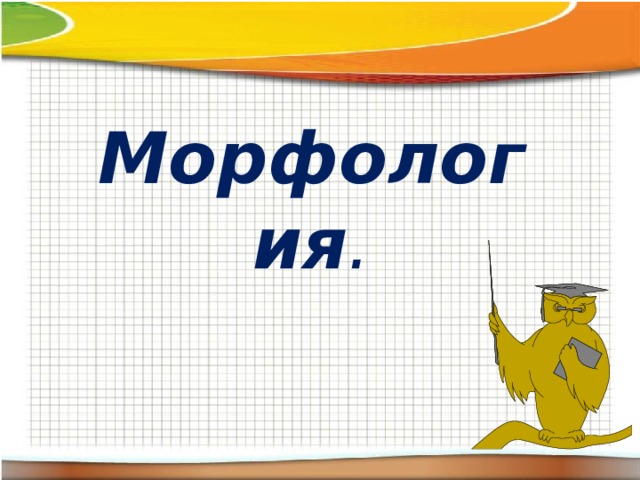 Презентация по теме морфология 7 класс