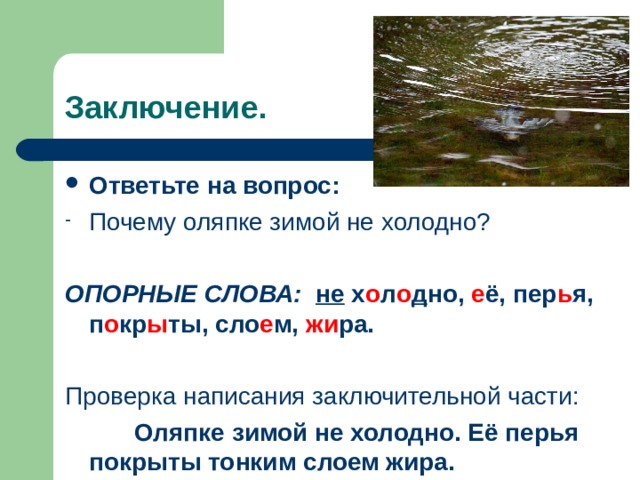 Изложение ответы на вопросы. Опорные слова и вопросы к тексту оляпка. Почему оляпку называют настоящим водолазом. Это оляпка грамматическая основа. Почему оляпку прозвали водолазом.