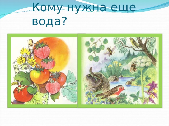 Кому нужна еще вода? 