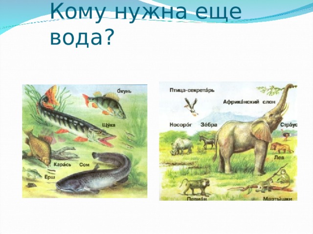 Кому нужна еще вода? 