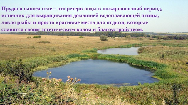 Водные богатства нашего края 4 класс презентация. Водные богатства Пильны. Водные богатства Клинцов. Водные богатства Рязани. Сообщение о водных богатствах Калмыкии.