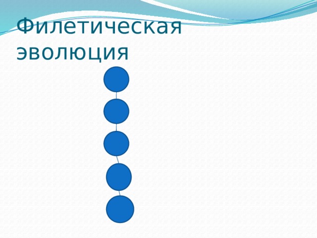 Филетическая эволюция 