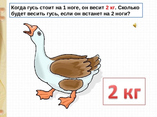 Гусь 4 кг. Гусь стоит. Сколько кг весит Гусь. Гусь стоит на одной ноге рисунок.