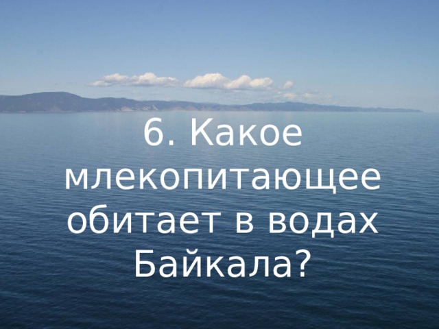 6. Какое млекопитающее обитает в водах Байкала? 