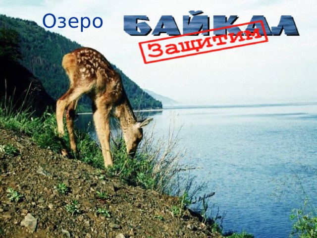 Озеро 